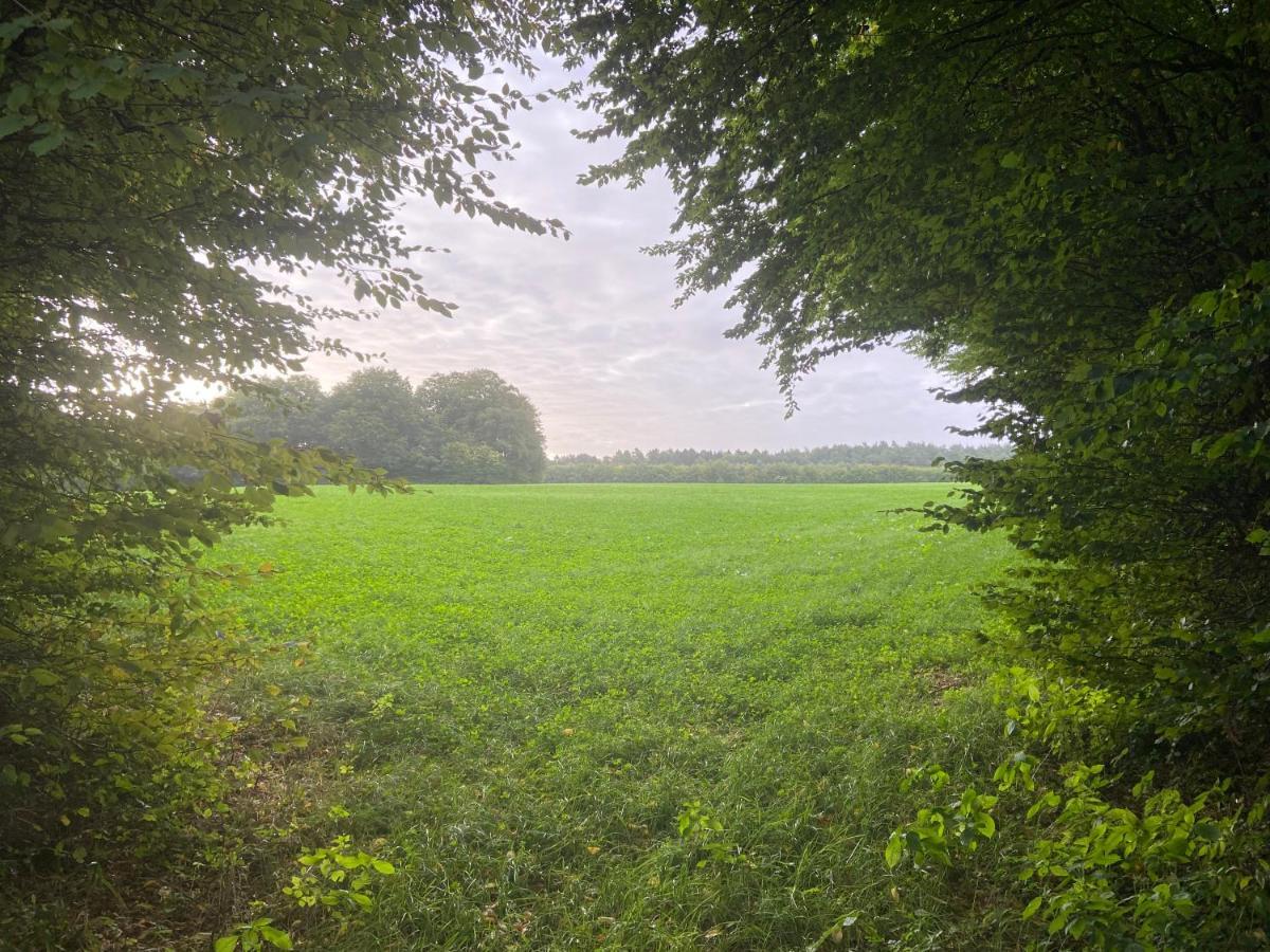 K 357 - Staffboarding - Personal- Und Monteurzimmervermietung Und Vermittlung In Ratekau Bei Luebeck Aparthotel Buitenkant foto